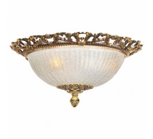 Накладной светильник Arti Lampadari Vigilanza Vigilanza E 1.13.38 G