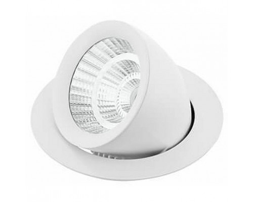 Спот Eglo  61693