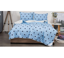 Постельное белье евростандарт Дарси