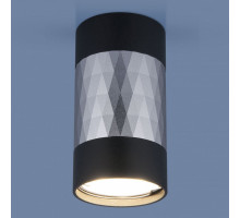 Накладной светильник Elektrostandard DLN110 a047745