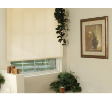 Штора рулонная (57х170 см) Эскар