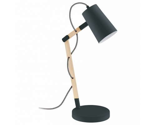 Настольная лампа офисная Eglo Torona 94034