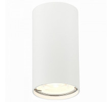 Накладной светильник ST-Luce Simplus 