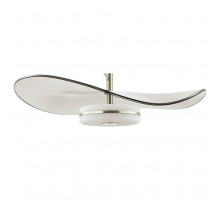 Подвесной светильник Odeon Light Fluent 4858/13L