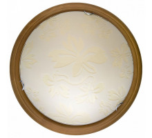 Накладной светильник TopLight Jane TL9640Y-00OA