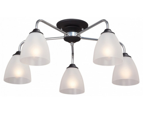 Потолочная люстра Vitaluce  V3946-1/5PL