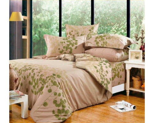 Постельное белье евростандарт A-119