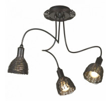 Потолочная люстра Lussole Ancona 