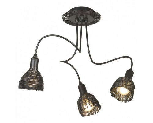 Потолочная люстра Lussole Ancona