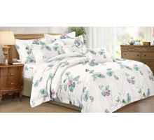 Постельное белье двуспальное Art Color 079-AC