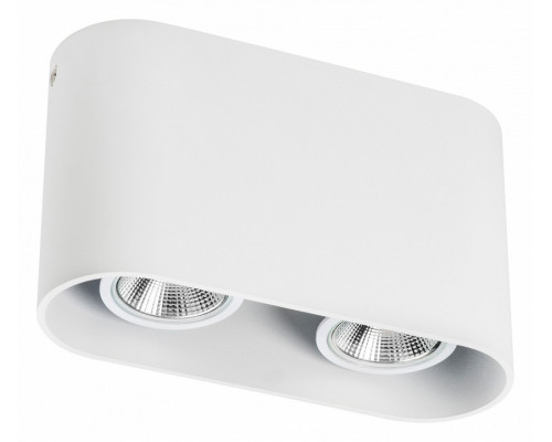 Накладной светильник Lightstar Rullo 214866