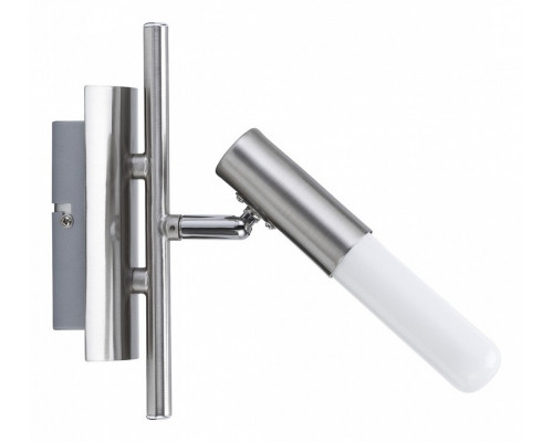 Спот Paulmann Phorus 66578