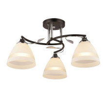 Потолочная люстра Imex 2867 MD.2867-3-S BK+CH