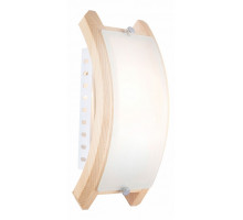 Накладной светильник Globo Admiral 41308