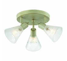 Спот Favourite Gumbata 1794-3U