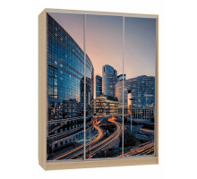 Шкаф-купе Бассо 7-600 79