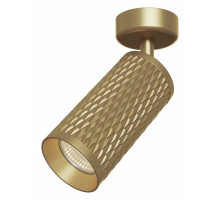 Спот Maytoni Alfa C034CL-01G