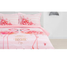 Постельное белье евростандарт Flamingo