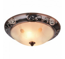 Накладной светильник Arte Lamp Alta A3014PL-2AC