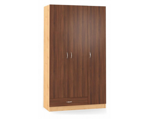 Шкаф платяной Рио ШР.063.1200-01
