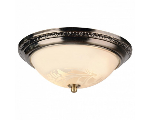 Накладной светильник Arte Lamp Alta A3009PL-2AB