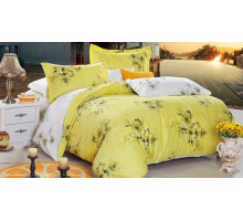 Постельное белье двуспальное CL-166