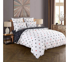 Постельное белье евростандарт Модерн №51