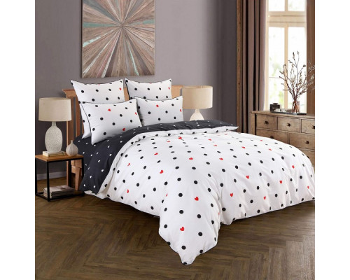 Постельное белье евростандарт Модерн №51