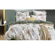 Постельное белье евростандарт Азиза