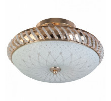 Светильник на штанге TopLight Loreen TL1490Y-03GC