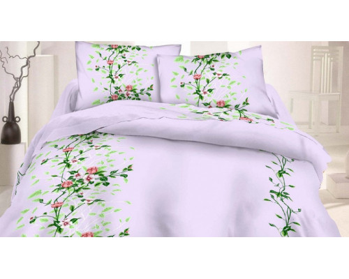 Постельное белье евростандарт PC-10