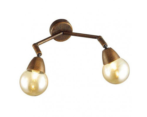 Спот Lumion Zianox 3596/2W