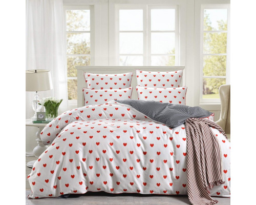 Постельное белье полутораспальное Модерн №40