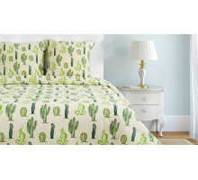 Постельное белье евростандарт Кактусы