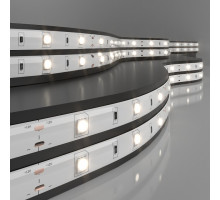 Лента светодиодная Elektrostandard 5050 a050584