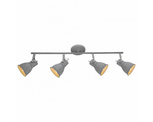 Спот Arte Lamp 1677 A1677PL-4GY