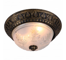 Накладной светильник Arte Lamp Piatti A8005PL-2BN