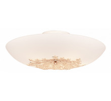 Накладной светильник SilverLight Verbena 835.50.5