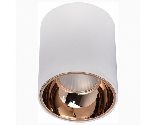 Накладной светильник Citilux Старк