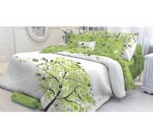 Постельное белье двуспальное Arthur