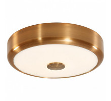 Накладной светильник Citilux Фостер-1 