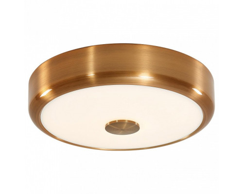 Накладной светильник Citilux Фостер-1