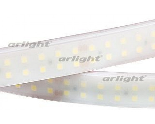 Лента светодиодная [5 м] Arlight  19000