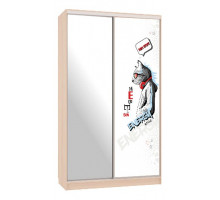 Шкаф-купе Рио 9-600 Энерджи