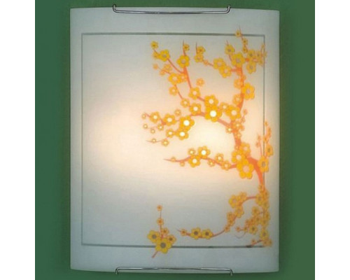 Накладной светильник Citilux 922