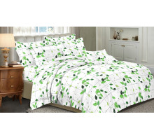 Постельное белье евростандарт Art Color 065-AC