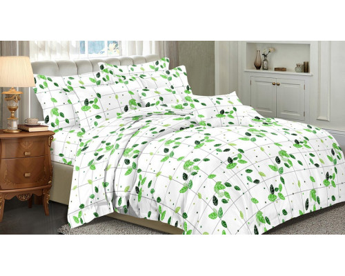 Постельное белье евростандарт Art Color 065-AC