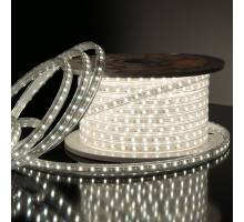 Лента светодиодная Elektrostandard LS013 a041343