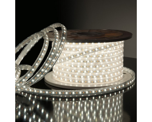 Лента светодиодная Elektrostandard LS013 a041343