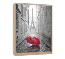 Шкаф-купе Бассо 7-600 08